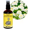 Bio-Hydrolat-Kamillenwasser Chamomilla Matricaria recutita, 100 ml glass 1