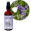 Bio-Hydrolat-Lavendelwasser Lavandula angustifolia ssp, 50/100/250/500 ml 1