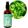 Bio-Hydrolat-Pfefferminz-Wasser Mentha Piperita, 50/100/250/500 ml 1