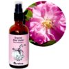 Bio-Hydrolat-Rosenwasser Rosa Damascene, 50/100/250/500 ml 1