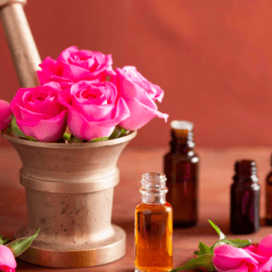 Die bulgarische Rose